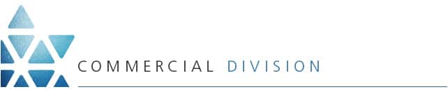Commercial division services