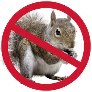 Rodent resistant