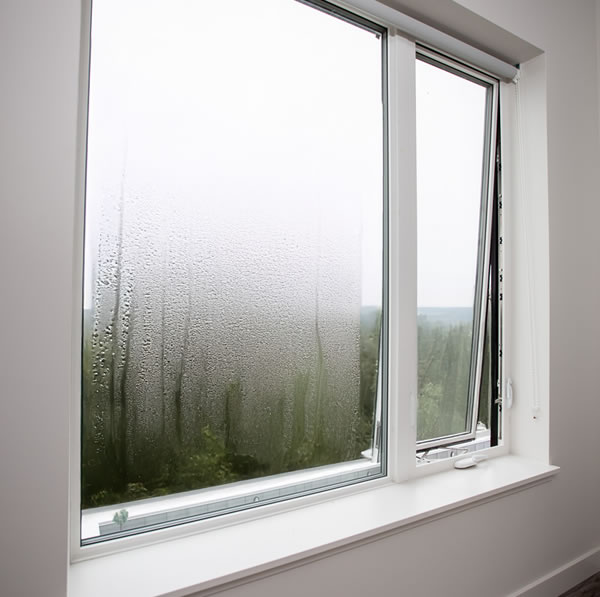 Foggy Window